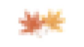 Saya Enterprises Ltd