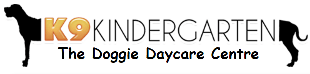 K9 Kindergarten