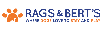 Rags & Bert's Doggy Day Care