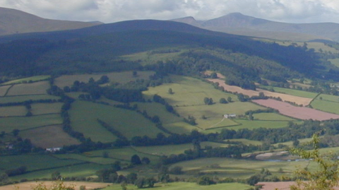 Brecon & Builth Wells Chiropractic Centre