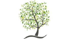 GreenTree Chiropractic | Berkhamsted