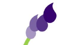 Orchid Carpet Cleaning