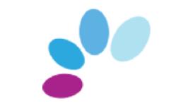 Saint Pius X College