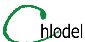 Chlodel Carpets & Flooring