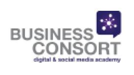 Business Consort Ltd