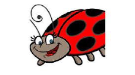 Ladybird
