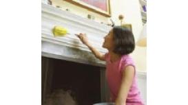 Pro Cleaners Havering