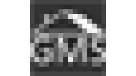 GMS Intelligent Systems