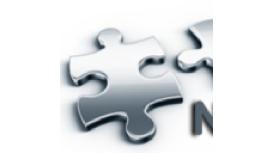 New Recruits Professional Services Ltd