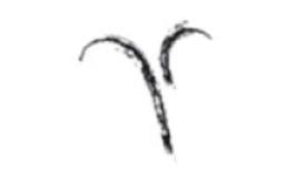 Acts and Entertainment