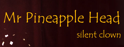 Mr Pineapplehead, Clown, Childrens Entertainer.