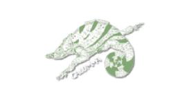 Calumma Ecological Services