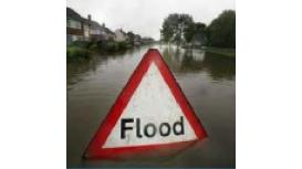 Image Flood Defence