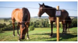 Rutland Electric Fencing