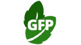 Green Financial Planning