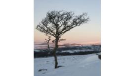 SWLaw Investment & Financial Planning