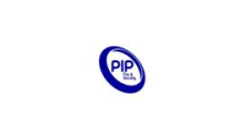 P I P Security Systems