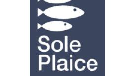 Sole Plaice