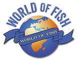 The World Of Fish