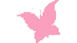 Elizabeth The Florist