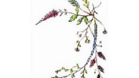 Interiors & Flowers By Design