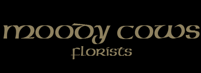 Moody Cow Florist