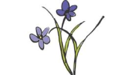 The Flower Loft - Florist Martock, Yeovil