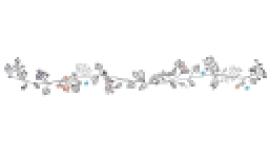 The Back Garden Drama Company