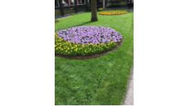 Lough Neagh Garden Company