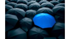 Jack Joy Insurance Limited