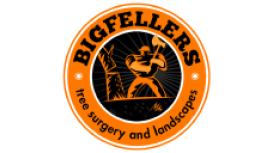 BIGFELLERS