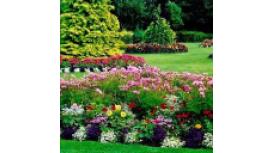 Lyndhurst Landscaping & Maintenance