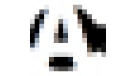 Access Locks & Security