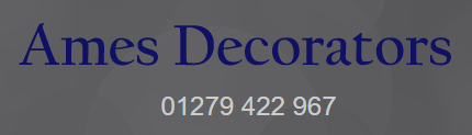Ames Decorators