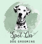 Spot On Professional Dog Grooming Kent