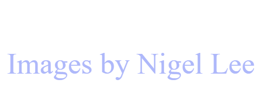 Nigel Lee Photography