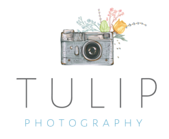Tulip Photography