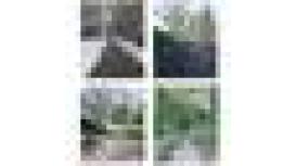 Caroline Parker, Counselling & Psychotherapy