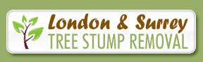 Surrey Stump Removal