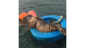 Exeplorer Water Taxis Ltd