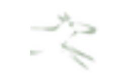 Archway Veterinary Surgery