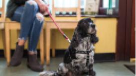 Cedarwood Veterinary Practice