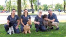 Lydon Veterinary Centre