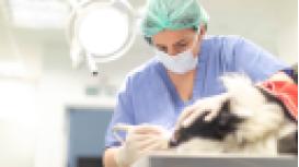 Marshlands Veterinary Centre