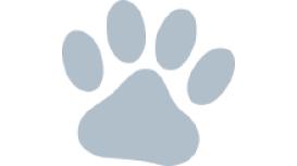 Springwell Veterinary Surgery