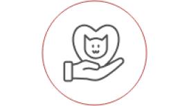 Village Veterinary Surgery