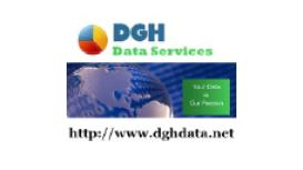 DGH Data & Web Services