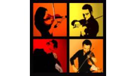 Solo Players String Quartet