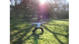 Seeking Stillness Yoga