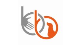 Bounce Back Canine Massage Clinic